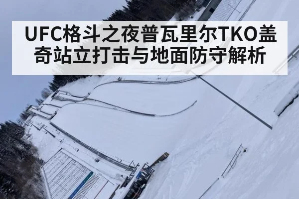 UFC格斗之夜普瓦里尔TKO盖奇站立打击与地面防守解析