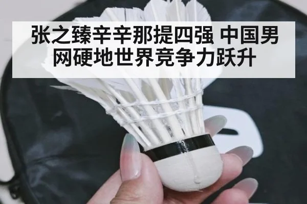 张之臻辛辛那提四强 中国男网硬地世界竞争力跃升